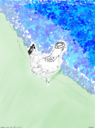 La Poule de la Plage