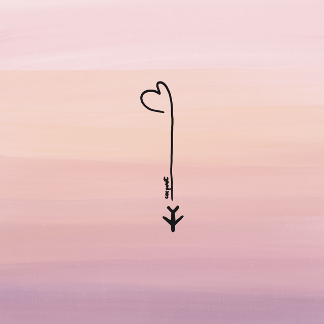 plane-heart.jpg