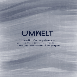 Umwelt